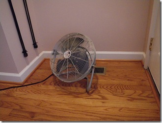 Fan